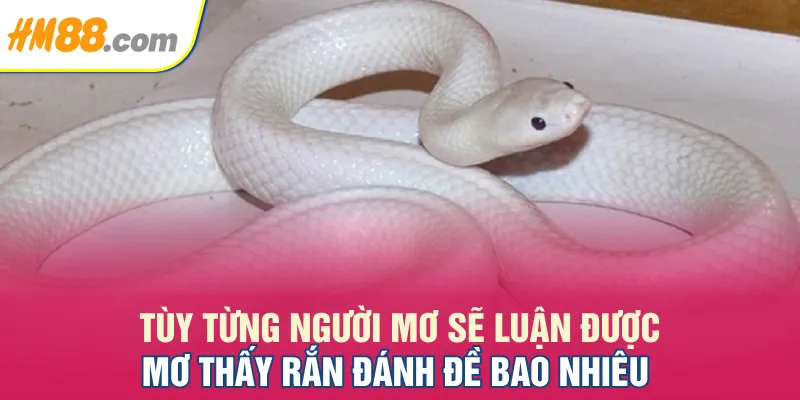 Tùy từng người mơ sẽ luận được Mơ thấy rắn đánh đề bao nhiêu Tùy từng người mơ sẽ luận được Mơ thấy rắn đánh đề bao nhiêu